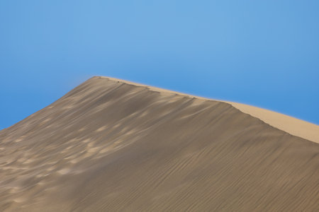 Desert landscape and sand dunes in Maspalomas. View of dunes and sea.