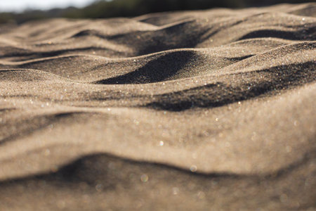 Desert landscape and sand dunes in Maspalomas. View of dunes and sea. Gran Canaria Island Spainの写真素材