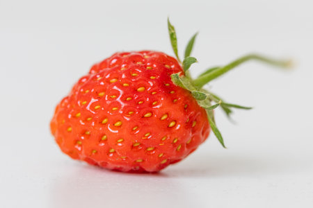 Red strawberry with green leavesの写真素材