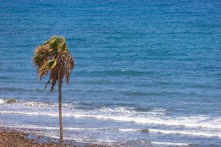 Seascape, beach and lighthouse Faro and sand dunes in Gran Canariaの写真素材
