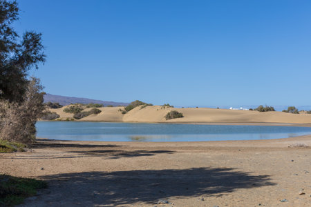 Seascape, beach and sand dunes in Gran Canariaの写真素材