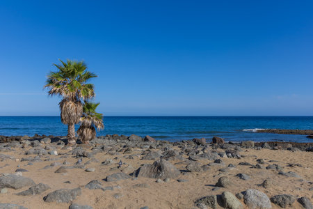 Faro de Maspalomas Spain seascape, beach and lighthouse Faro and sand dunes in Gran Canariaの写真素材