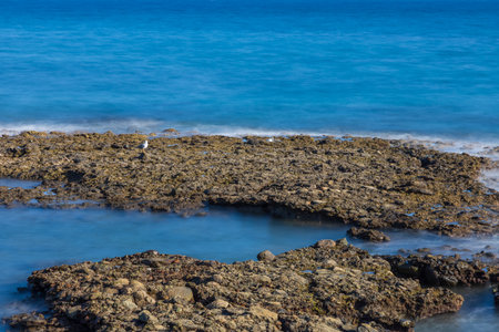 Seascape at Faro de Maspalomas on Gran Canaria, Spainの写真素材