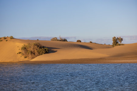 Seascape and dunes at Faro de Maspalomas on Gran Canaria, Spainの写真素材