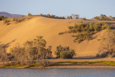 Seascape and dunes at Faro de Maspalomas on Gran Canaria, Spainの写真素材