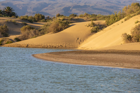 Seascape and dunes at Faro de Maspalomas on Gran Canaria, Spainの写真素材
