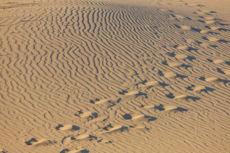 Seascape and dunes at Faro de Maspalomas on Gran Canaria, Spainの写真素材