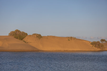 Seascape and dunes at Faro de Maspalomas on Gran Canaria, Spainの写真素材