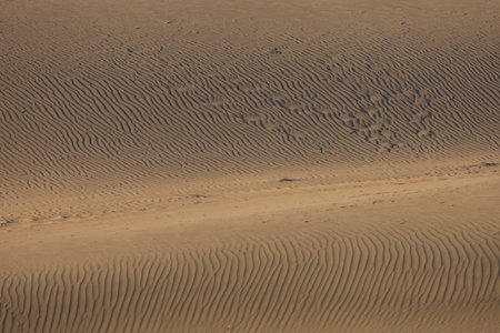 Seascape and dunes at Faro de Maspalomas on Gran Canaria, Spainの写真素材