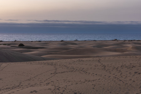 Sand dunes in the Maspalomas area of ââGran Canaria Spainの写真素材