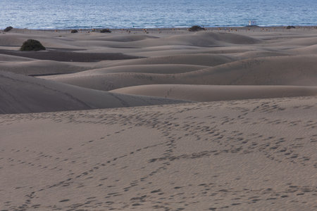 Sand dunes in the Maspalomas area of ââGran Canaria Spainの写真素材