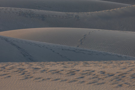 Sand dunes in the Maspalomas area of ââGran Canaria Spainの写真素材