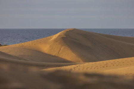 Sand dunes in the Maspalomas area of ââGran Canaria Spainの写真素材