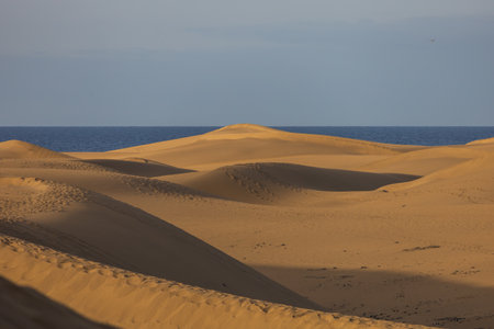Sand dunes in the Maspalomas area of ââGran Canaria Spainの写真素材