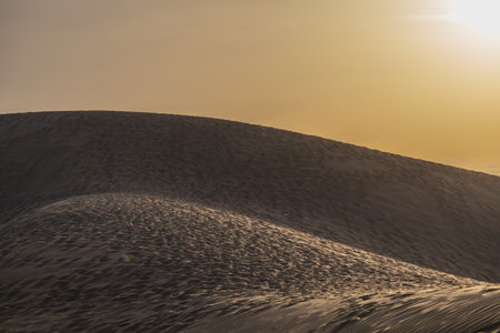 Sand dunes in the Maspalomas area of ââGran Canaria Spainの写真素材