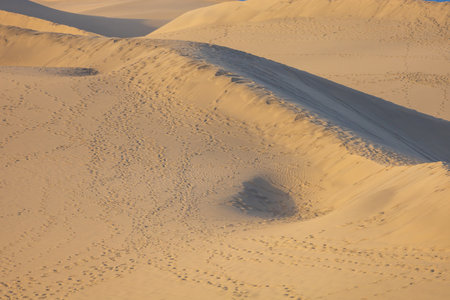 Sand dunes in the Maspalomas area of ââGran Canaria Spainの写真素材