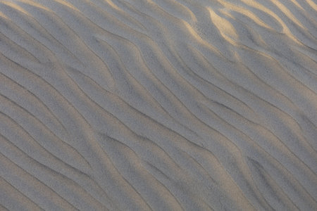 Sand dunes in the Maspalomas area of ââGran Canaria Spainの写真素材