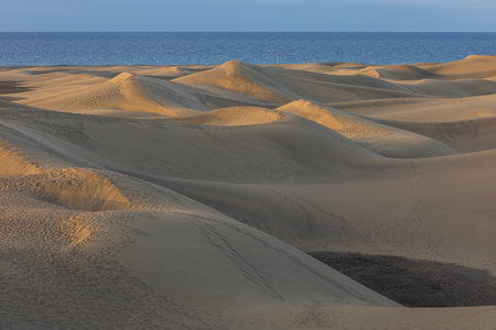Sand dunes in the Maspalomas area of ââGran Canaria Spainの写真素材