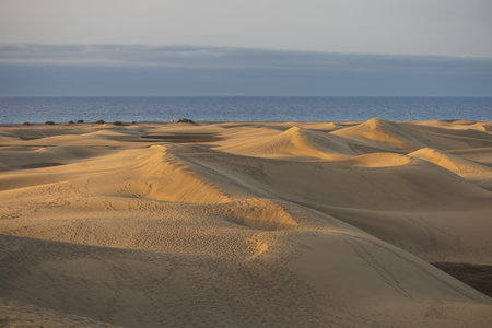 Sand dunes in the Maspalomas area of ââGran Canaria Spainの写真素材