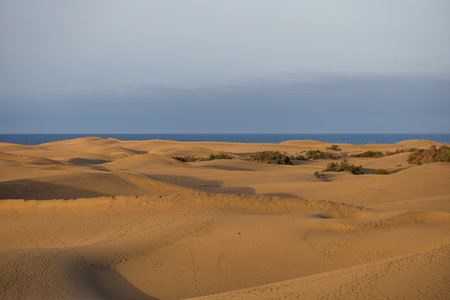 Sand dunes in the Maspalomas area of ââGran Canaria Spainの写真素材