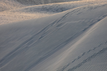 Sand dunes in the Maspalomas area of ââGran Canaria Spainの写真素材