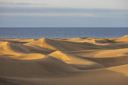 Sand dunes in the Maspalomas area of ââGran Canaria Spainの写真素材
