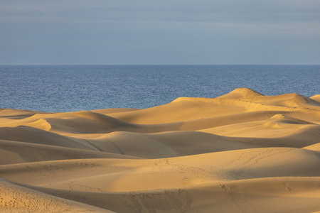 Sand dunes in the Maspalomas area of ââGran Canaria Spainの写真素材