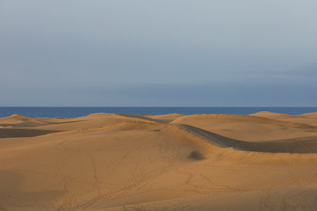 Sand dunes in the Maspalomas area of ââGran Canaria Spainの写真素材