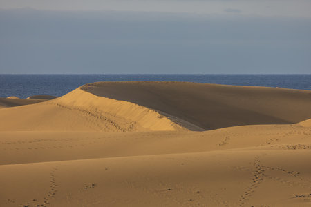Sand dunes in the Maspalomas area of ââGran Canaria Spainの写真素材