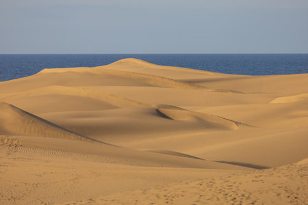 Sand dunes in the Maspalomas area of ââGran Canaria Spainの写真素材
