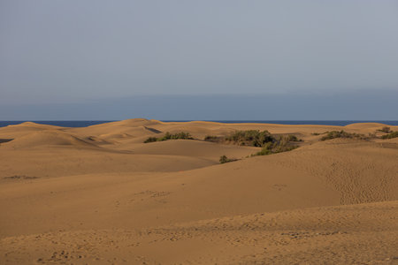 Sand dunes in the Maspalomas area of ââGran Canaria Spainの写真素材
