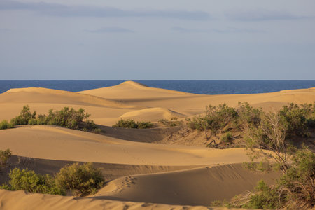 Sand dunes in the Maspalomas area of ââGran Canaria Spainの写真素材