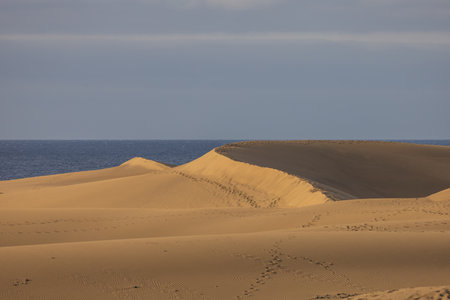 Sand dunes in the Maspalomas area of ââGran Canaria Spainの写真素材