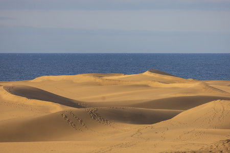 Sand dunes in the Maspalomas area of ââGran Canaria Spainの写真素材