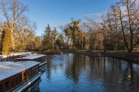 A serene late autumn/early winter landscape featuring a wide body of water (pond or lake) in a park. The water reflects the golden and brown autumnal foliage and the bare branches of the trees lining the bankの写真素材