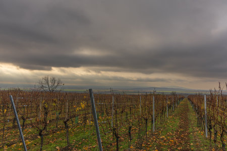 The scene is dominated by a dramatic, dark sky filled with heavy clouds. Rays of sunlight break through the clouds on the left side, illuminating the distant landscape and creating a strong contrastの写真素材