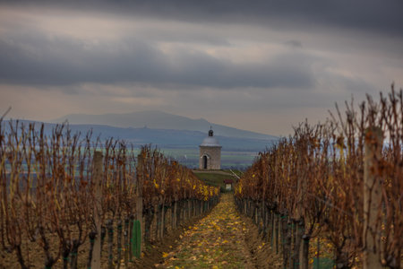 The stone-built chapel is centrally framed by two dense rows of bare grapevines in late autumn, which converge towards the structure. The path between the bushes is covered with fallen yellow leaves and leads directly to the sacral buildingの写真素材