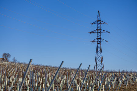 A tall electricity pylon standing amidst a newly planted vineyard on a hillside. The geometric rows...