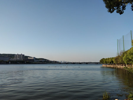 Campus scenery in the sunの写真素材