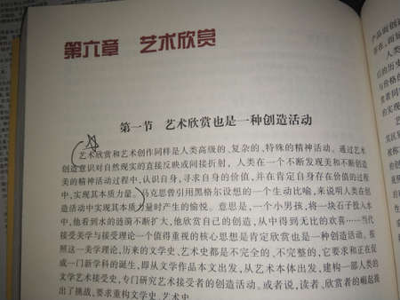 Chinese text on a book.の写真素材