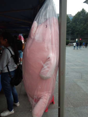 Unidentified people protest against the government.の写真素材