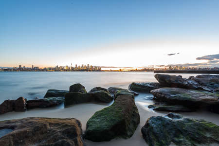 broadly head pointの写真素材