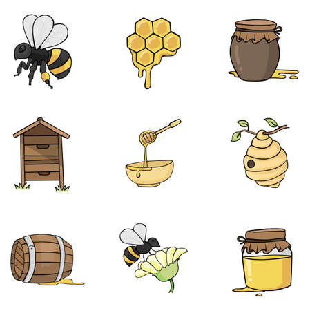 Bee honey set in drawing style vector