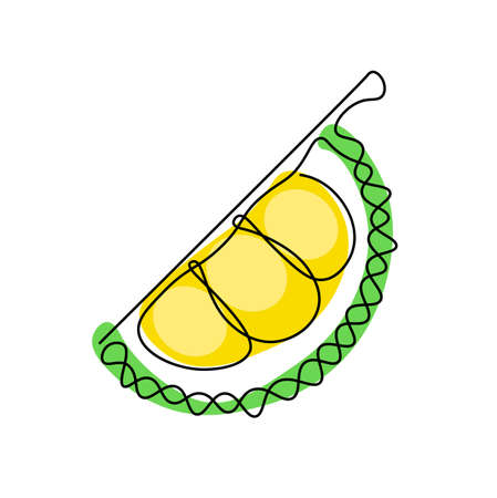 Continuous line of durian. fruits concept object in simple thin vector illustration.のイラスト素材