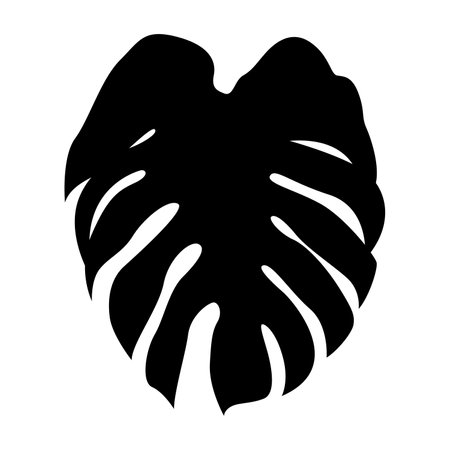 Tropical jungle Monstera leaf in simple black flat design on white backgroundのイラスト素材