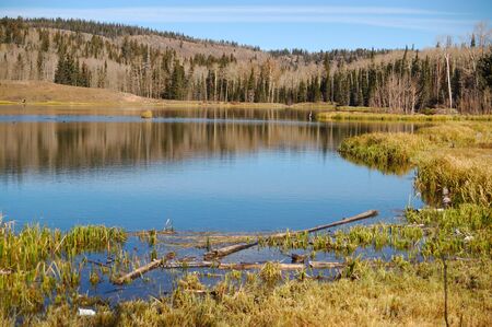 Posey Lake on Boulder Mountain, Utah
の写真素材