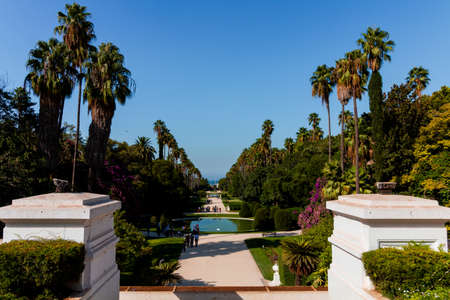 The Botanical Garden Hamma of algiersの写真素材