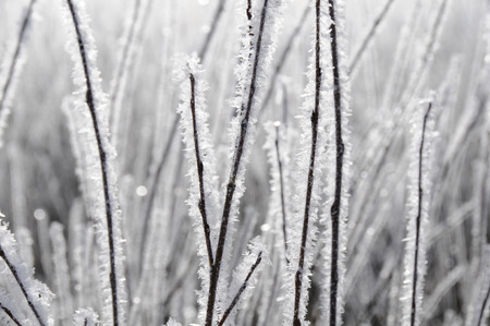 sparkly2の写真素材