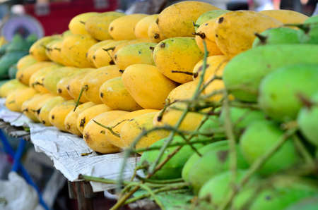 Mango is a tropical fruit you normally see in any market of Thailand.の写真素材