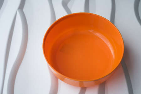 water dipperの写真素材